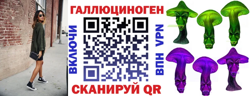 Купить где  Ершов  Псилоцибиновые грибы MAGIC MUSHROOMS 