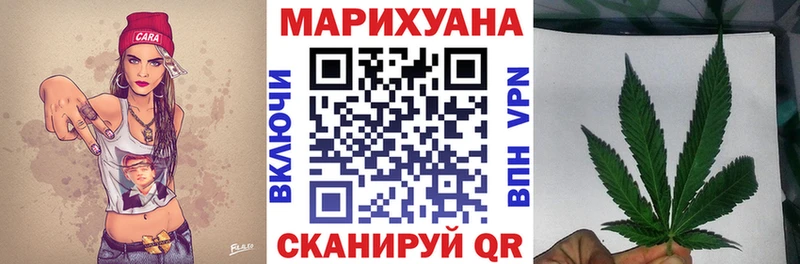 Купить где  Ершов  Канабис сатива 